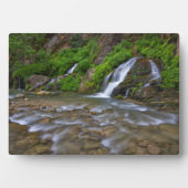 Jungfrau Big Springs | Zion National Park Fotoplatte (Vorderseite)