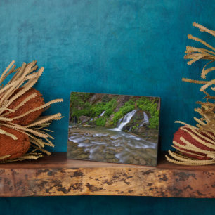 Jungfrau Big Springs   Zion National Park Fotoplatte