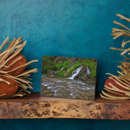 Jungfrau Big Springs | Zion National Park Fotoplatte (Seite)