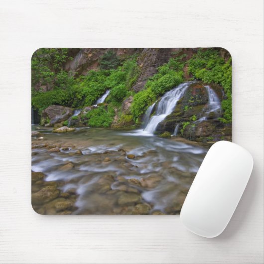Jungfrau Big Springs | Zion National Park Mousepad (Mit Mouse)