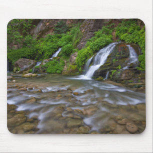 Jungfrau Big Springs Zion National Park Mousepad