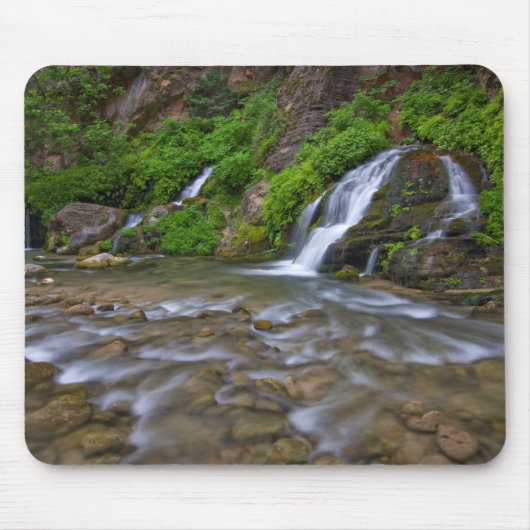 Jungfrau Big Springs | Zion National Park Mousepad (Vorne)