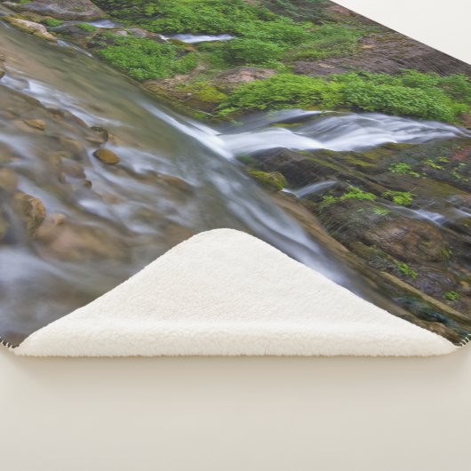 Jungfrau Big Springs | Zion National Park Sherpadecke (3/4)