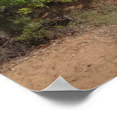 Jungfrau im Frühjahr im Zion-Nationalpark Poster (Ecke)