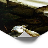 Jungfrau Mary Garden Statue Poster (Ecke)