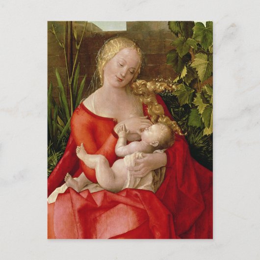 Jungfrau und Kind "Madonna mit der Iris", 1508 Postkarte (Vorderseite)