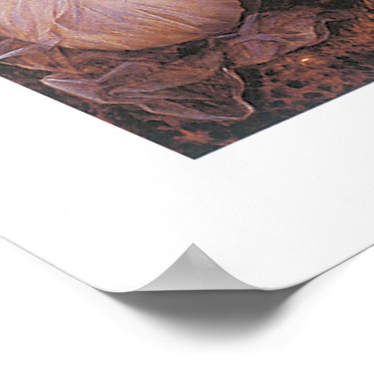 Jungfrau und Kind mit dem Heiligen Elisabeth Poster (Ecke)