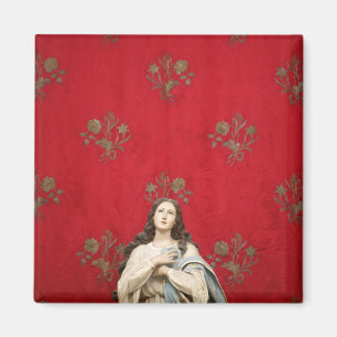 Jungfraustatue in einer Spaccanapoli Kirche, Magnet