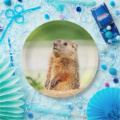 Jungfresser Pappteller (Party)