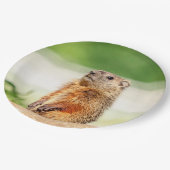 Jungfresser Pappteller (Schrägansicht)