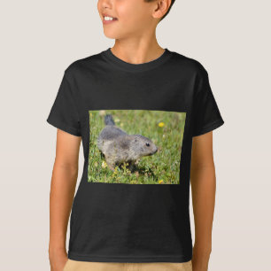 Junggebirgsmarmot im Gras T-Shirt