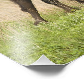Junggebliebene im Tallgrass Fotodruck (Ecke)