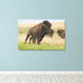 Junggebliebene im Tallgrass Leinwanddruck (Insitu (Holzboden))