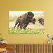 Junggebliebene im Tallgrass Leinwanddruck (Insitu (Wohnzimmer))