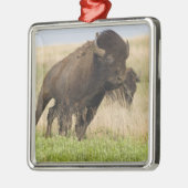 Junggebliebene im Tallgrass Silbernes Ornament (Links)