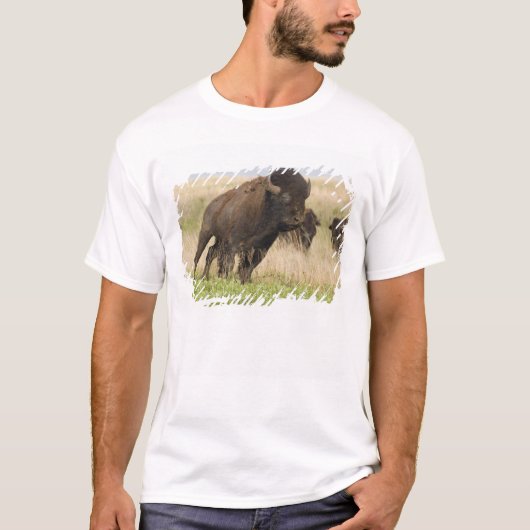 Junggebliebene im Tallgrass T-Shirt (Vorderseite)