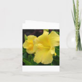 Junggesellinnenabschiede? Einladung (Rückseite)