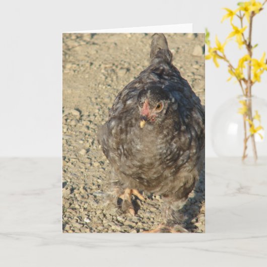 Junghähnchen Karte (Gelbe Blume)