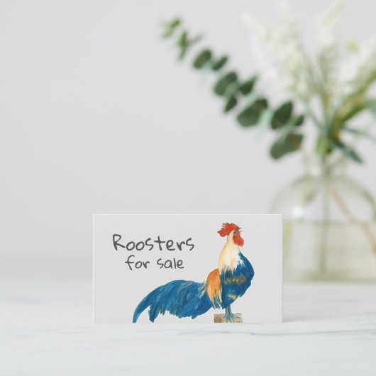 Junghennen zum Verkauf von Hühnern Visitenkarte (Stehend Vorderseite)