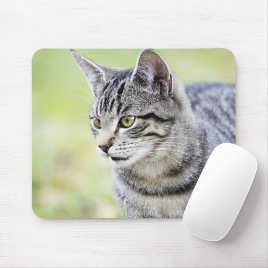 Jungkatze in der Natur Mousepad (Mit Mouse)