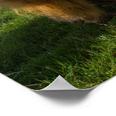 Jungkühe Poster (Ecke)