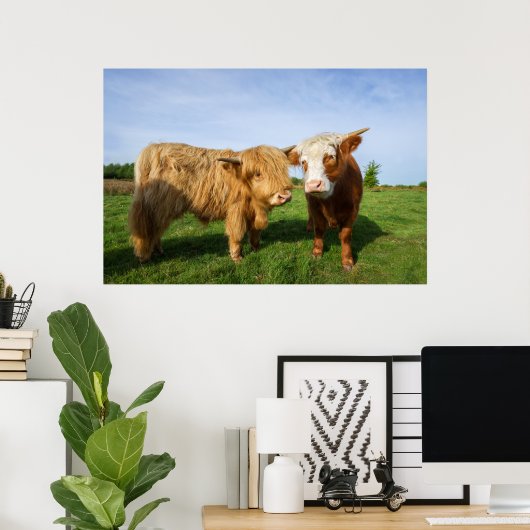 Jungkühe Poster (Heimbüro)