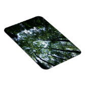 Jungle 3"x4" Magnet (Rechte Seite)
