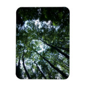 Jungle 3"x4" Magnet (Vertikal)