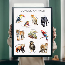 Jungle Animals Educational Poster