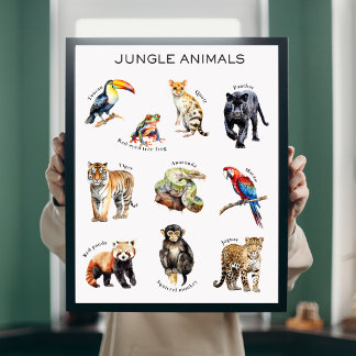 Jungle Animals Educational Poster