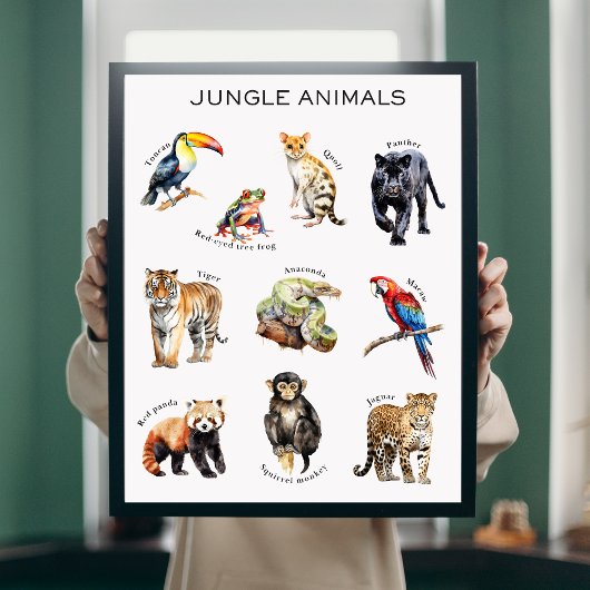 Jungle Animals Educational Poster