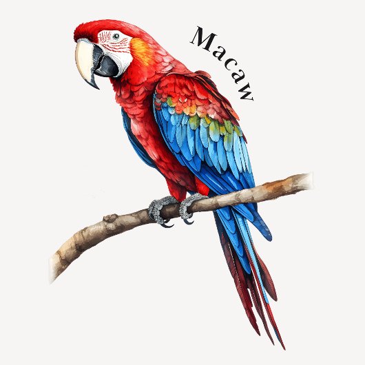 Jungle Animals Educational Poster