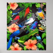 Jungle Birds of Central America Poster (Vorne)