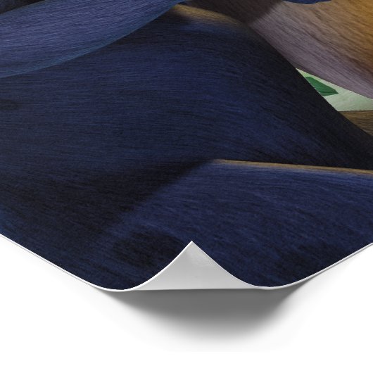 Jungle Book Group Shot 1 2 Poster (Ecke)