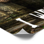 Jungle book poster (Ecke)