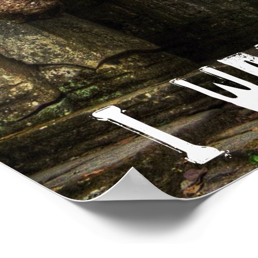 Jungle book poster (Ecke)