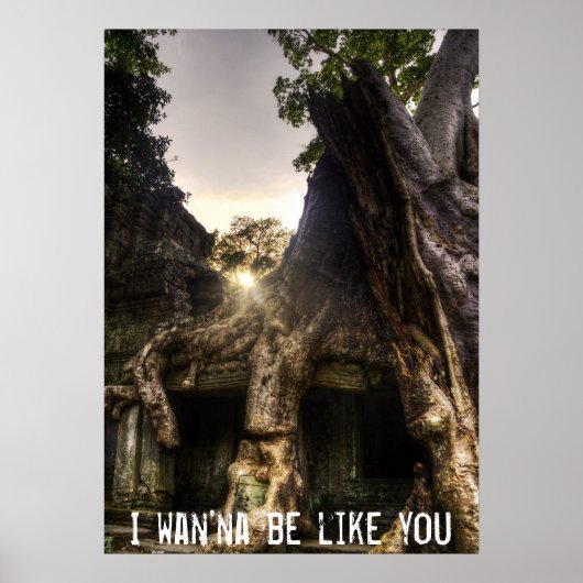 Jungle book poster (Vorne)