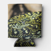 Jungle Carpet Python Dosenkühler (Vorderseite)