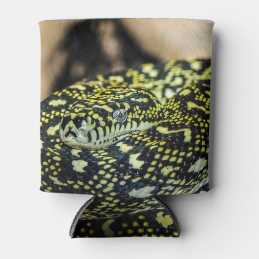 Jungle Carpet Python Dosenkühler (Vorderseite)