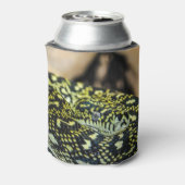 Jungle Carpet Python Dosenkühler (Kanne Rückseite)