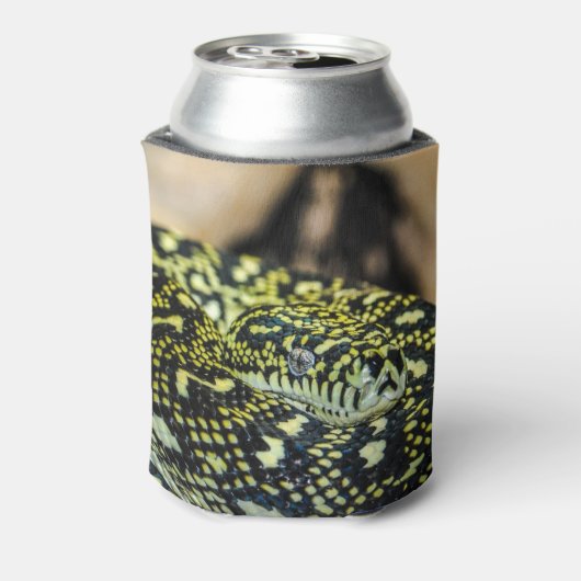 Jungle Carpet Python Dosenkühler (Kanne Rückseite)