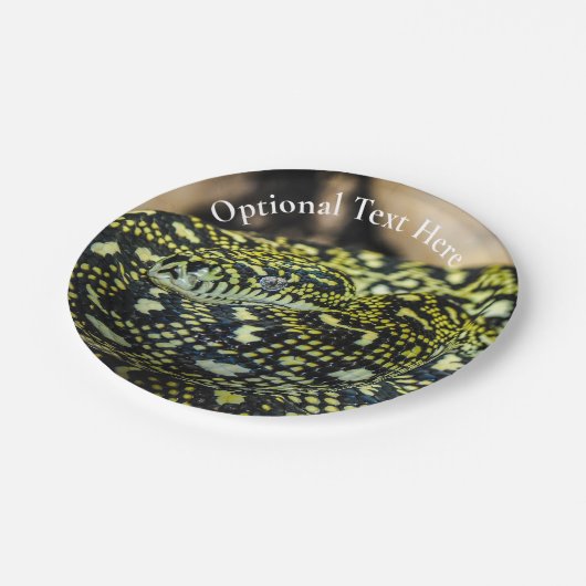 Jungle Carpet Python Snake Pappteller (Schrägansicht)