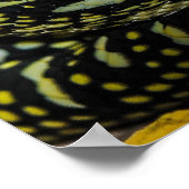 Jungle Carpet Python Snake Poster (Ecke)