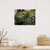 Jungle Carpet Python Snake Poster (Küche)