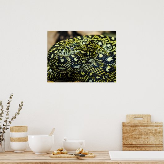Jungle Carpet Python Snake Poster (Küche)