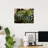 Jungle Carpet Python Snake Poster (Heimbüro)