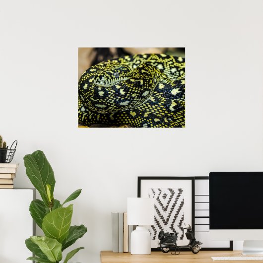 Jungle Carpet Python Snake Poster (Heimbüro)