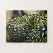 Jungle Carpet Python Snake Puzzle (Horizontal)