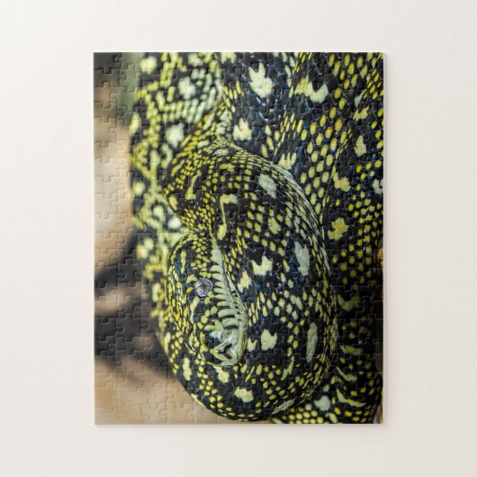 Jungle Carpet Python Snake Puzzle (Vertikal)