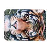 Jungle Cat - Tiger Magnet (Horizontal)